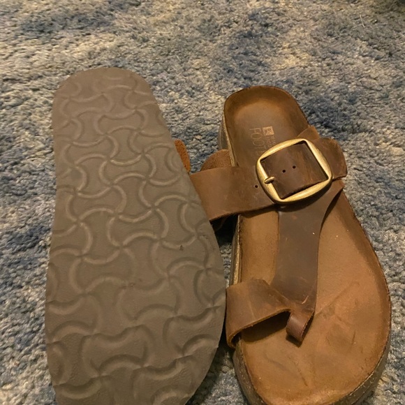 Sanders - Picture 2 of 2